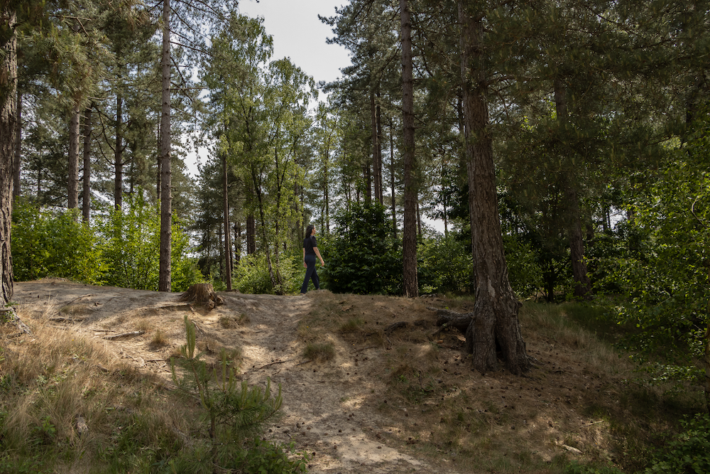 Acceptance and Commitment Therapy door marieke